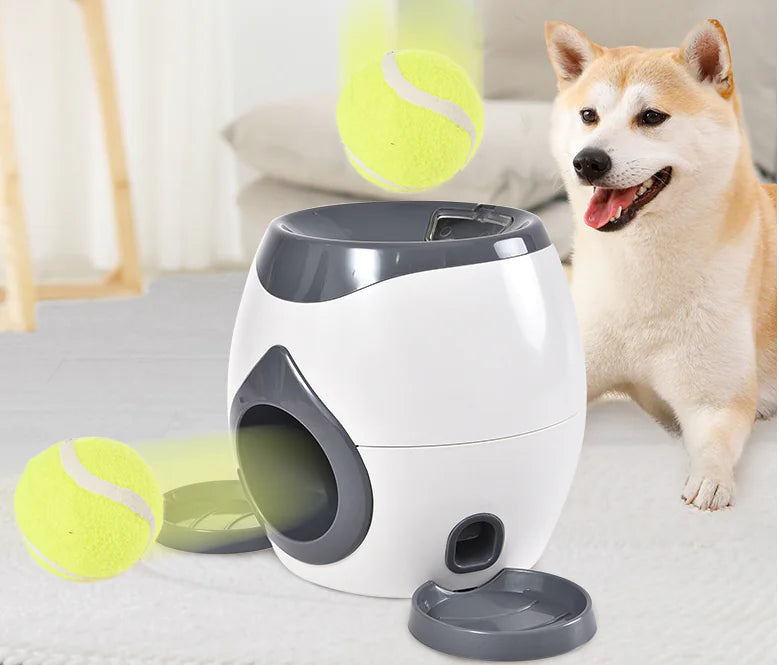 Smart Pet Feeder - DISCOVERIES DEPOT