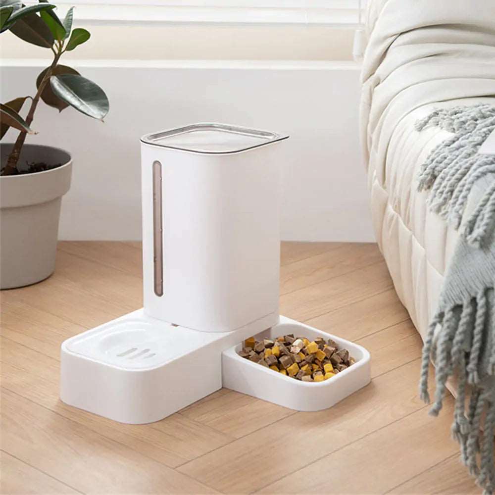 Cat Automatic Feeder - DISCOVERIES DEPOT