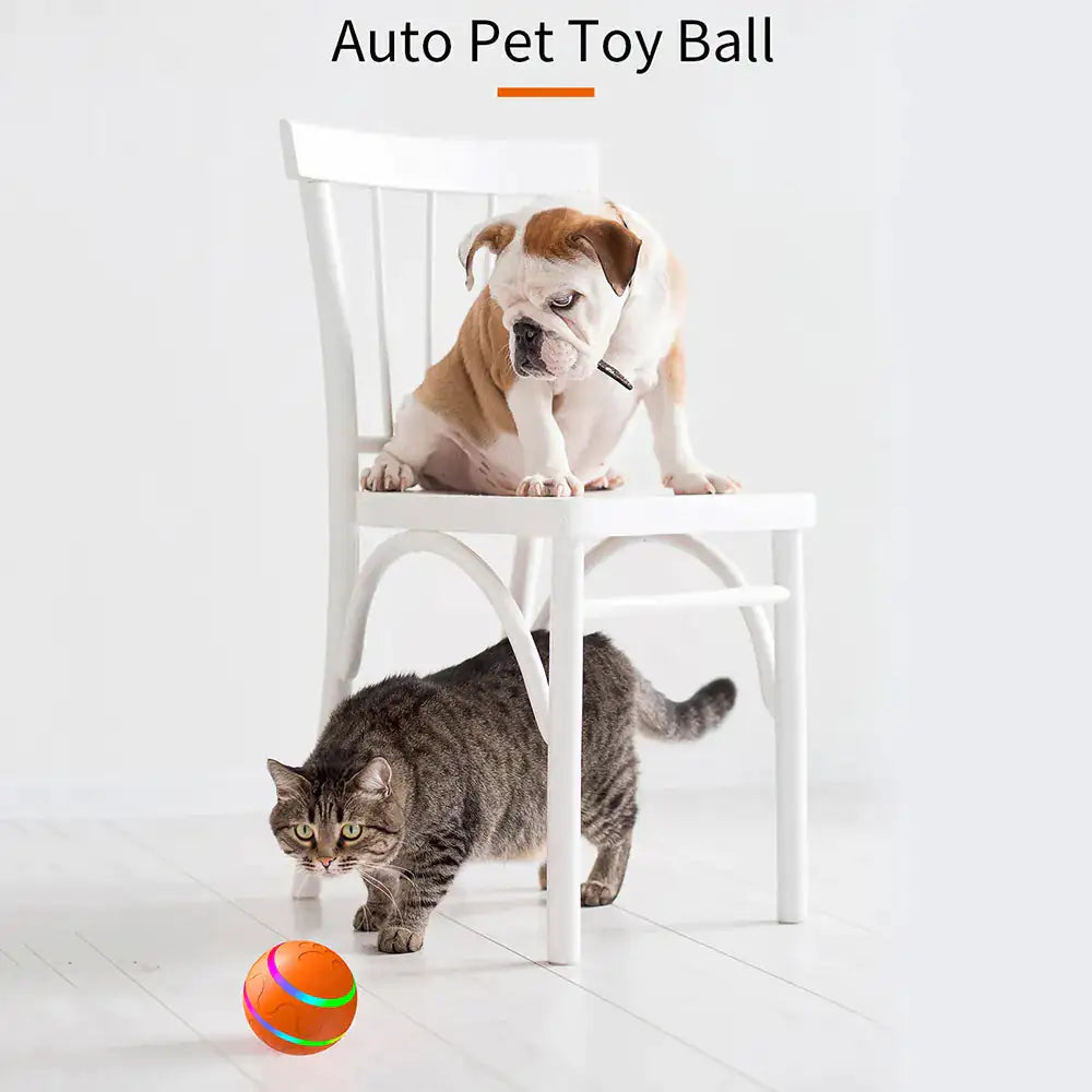 Interactive Pet Smart Ball Toy - DISCOVERIES DEPOT