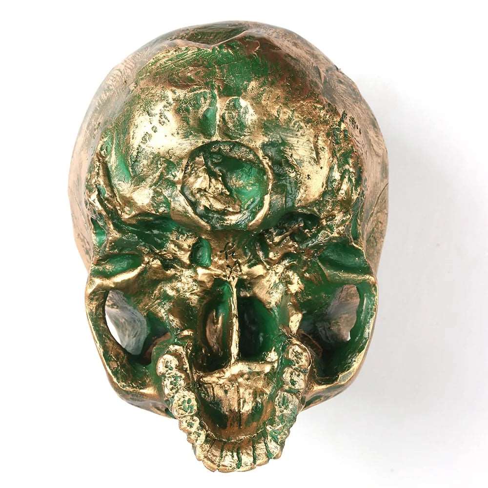 Bronze Resin Skull Model Home Decor - DISCOVERIES DEPOT